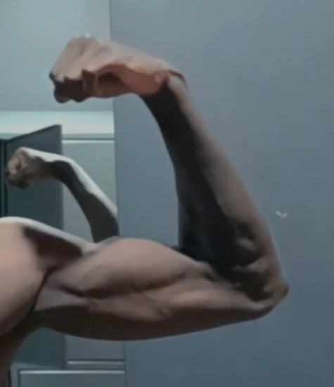 Profil de Kelim, 21 ans, Cul Belgique à Menin