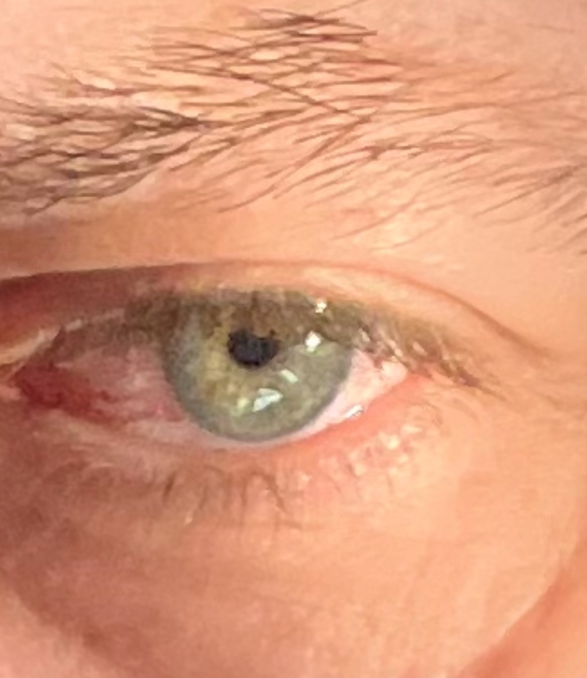 Profil de Aldin, 49 ans, Cul Belgique à Quévy