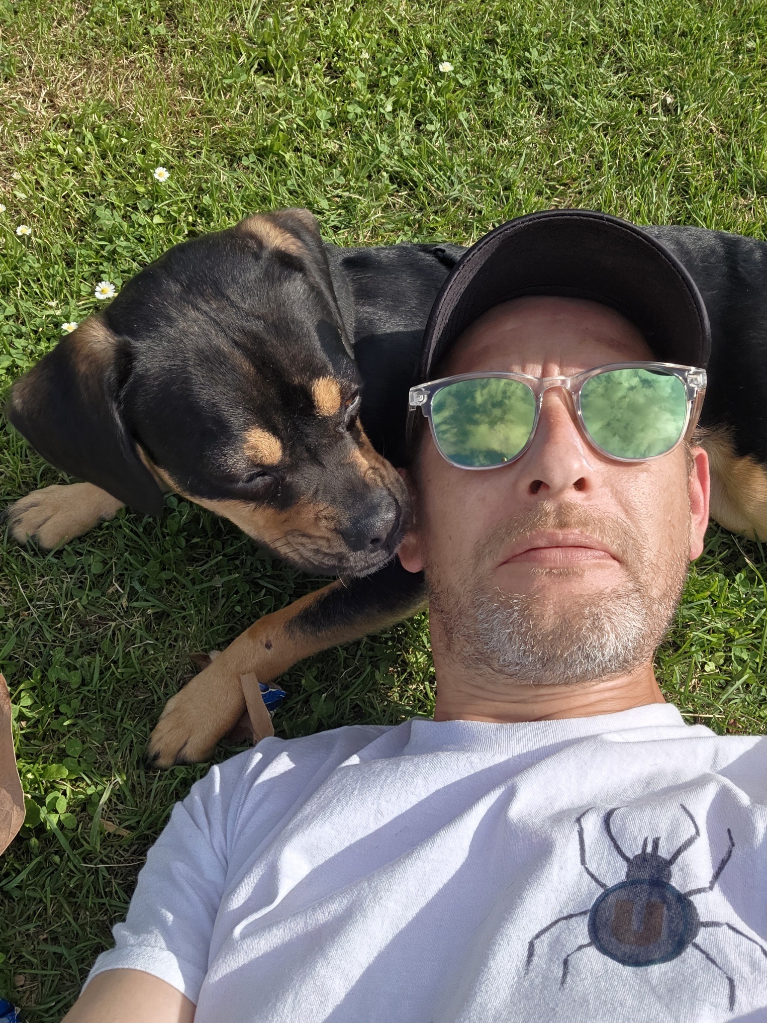 Profil de Mamedy, 41 ans, Cul Belgique à Hemiksem